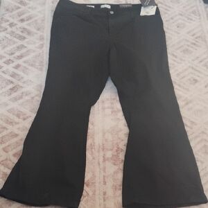 NWT Ava & Viv Black Control Panel Pants
